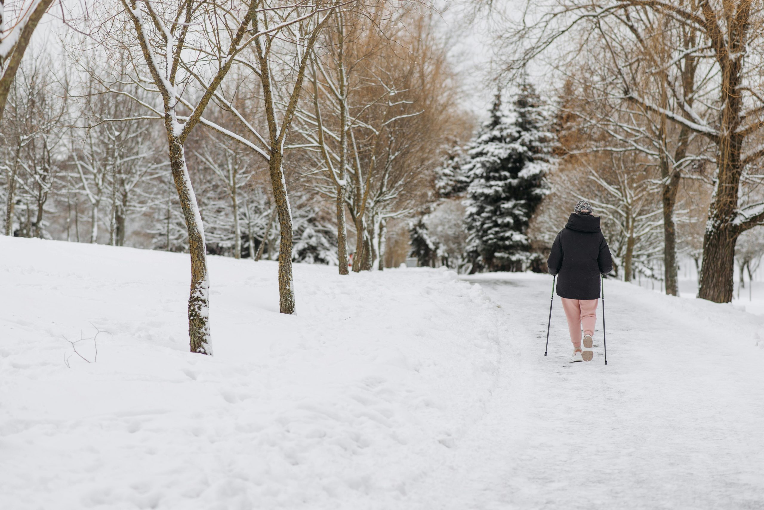 a woman walks down a snowy path lined with bare trees, using walking poles.